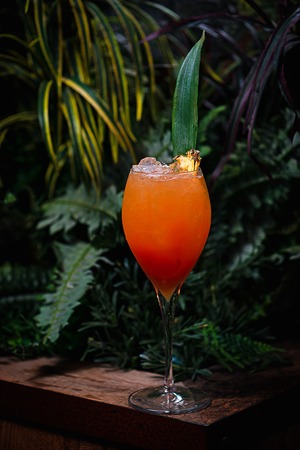 mexican jungle bird cocktail